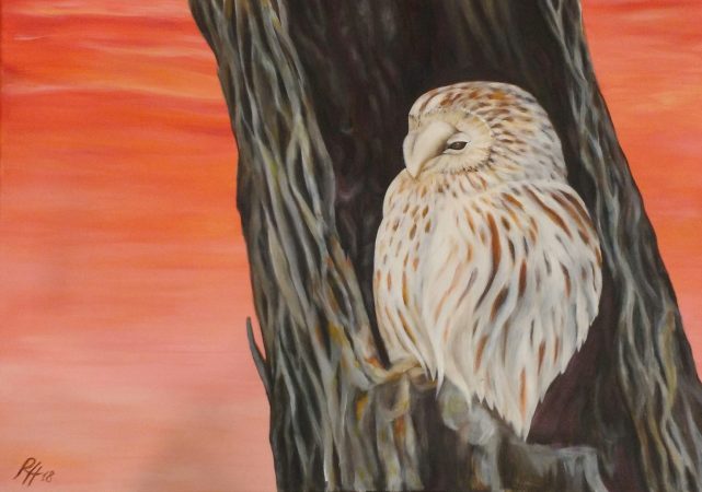 "Öökull"
2018. Akrüülvärvid lõuendil. 70x50 cm